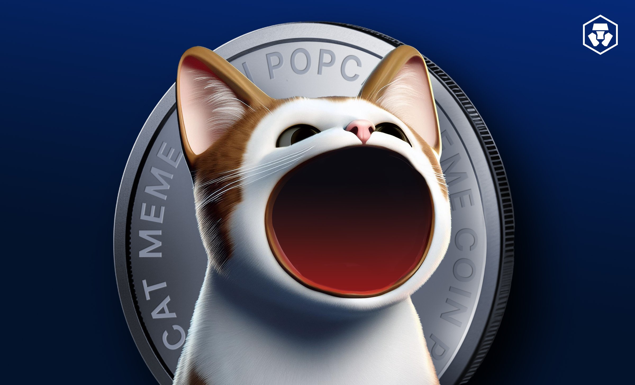 What Is Popcat?